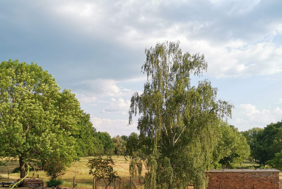 3 Terrasse An Den Spreewaldwiesen