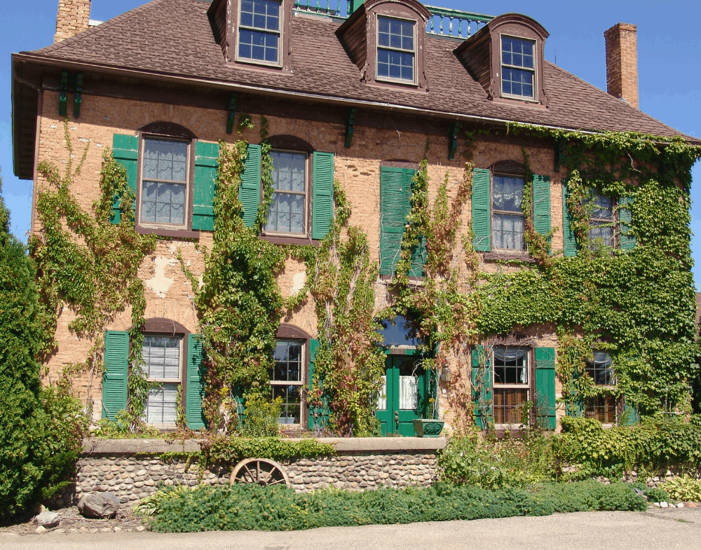 Website guesthouse 258