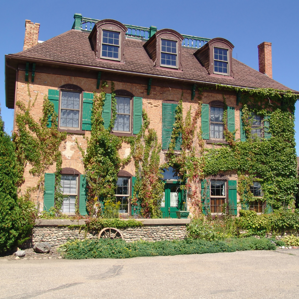Website guesthouse 258