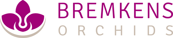 Bremkens orchids logo quer web 72dpi