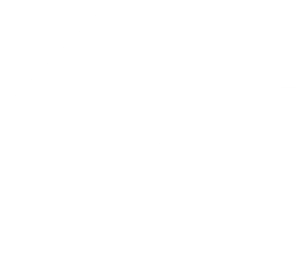 Logo weiss 300x256 1