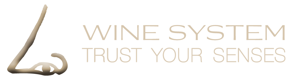 Ws logo waagerecht e1625509080976