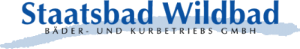 Logo 21