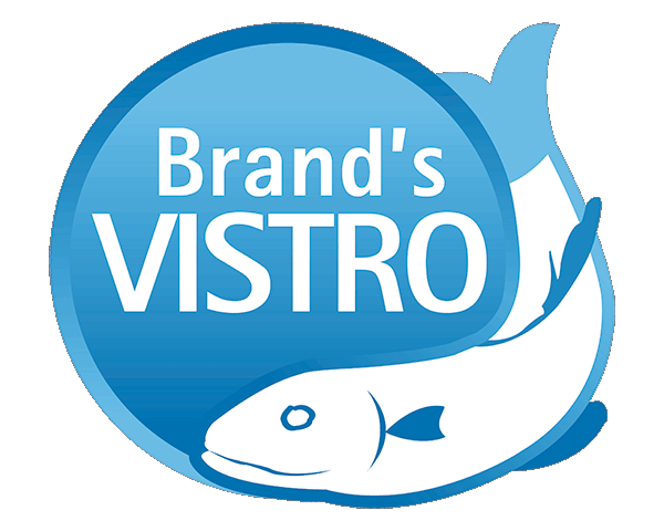 Logo splash