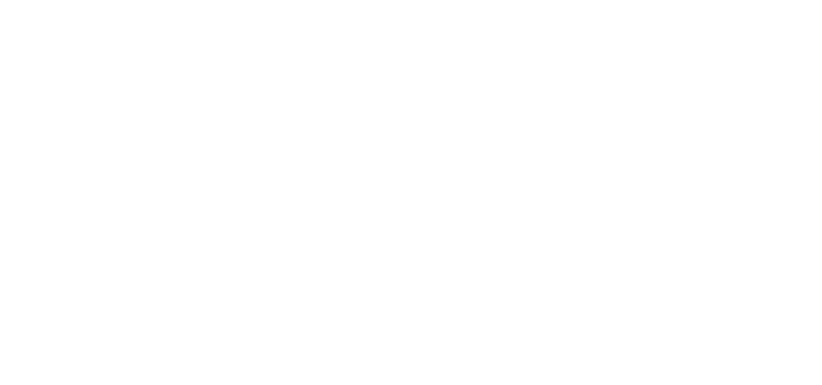 Logo ngs