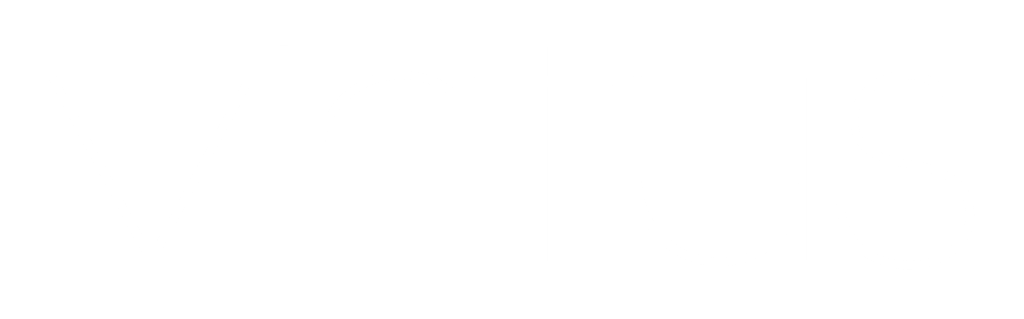 Virtus logo weiss webseite